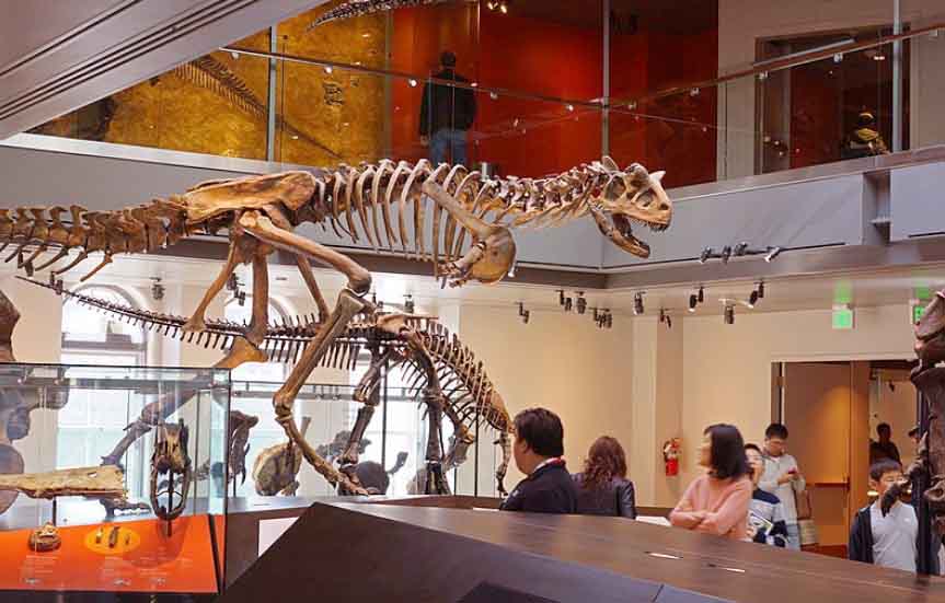 best places to visit in la: Natural History Museum