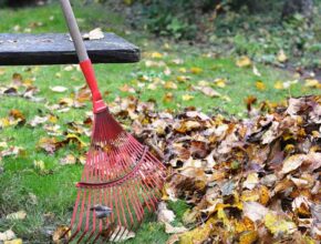 best eco friendly ways to remove leaves from the yard